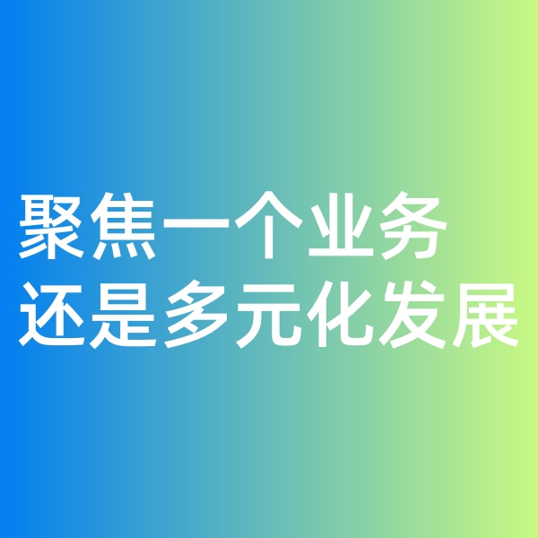 鈀碳回收, 聚焦一個業(yè)務，還是多元化發(fā)展